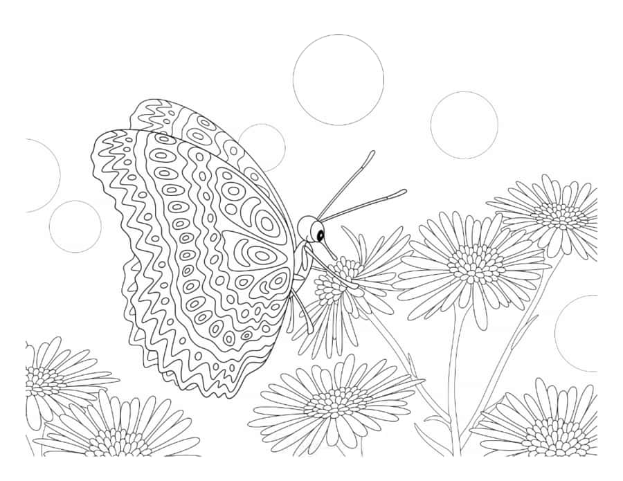 Butterfly Feeding From Flower Coloring Pdf Free Vectors